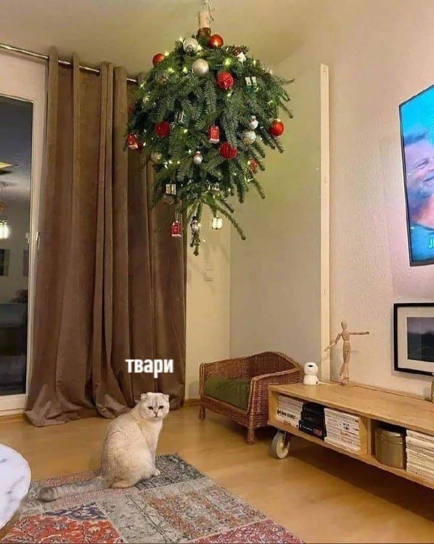 🖼