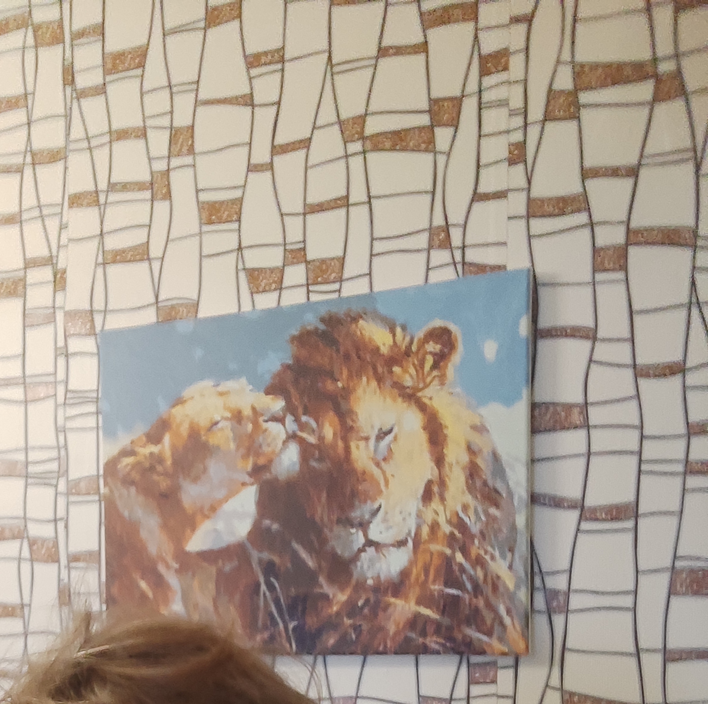 🖼