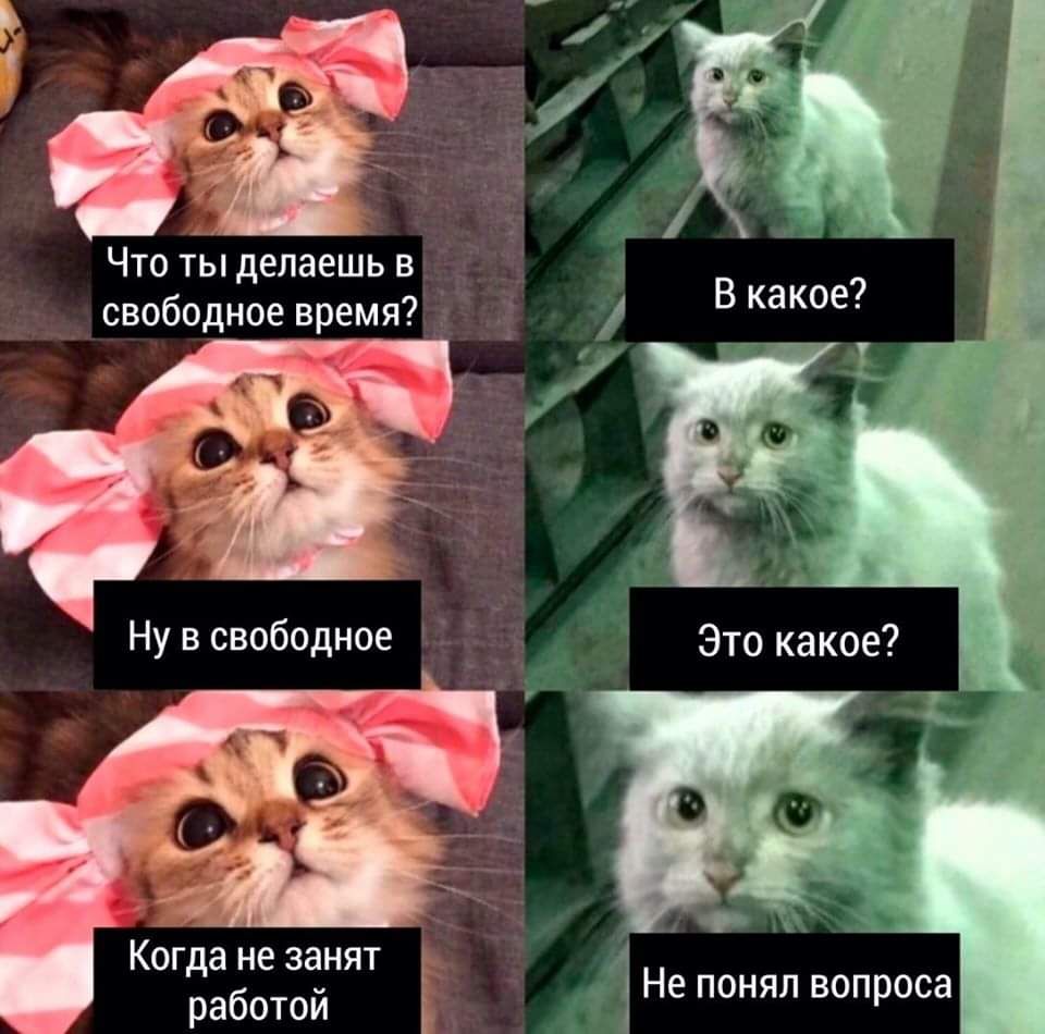 🖼