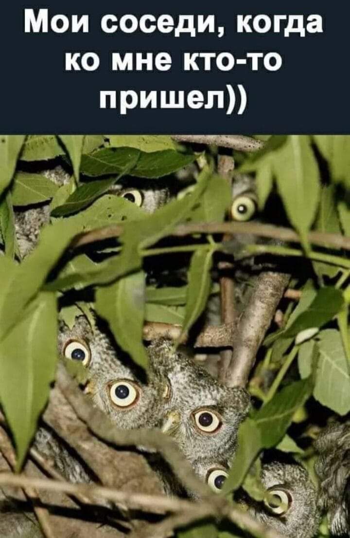 🖼