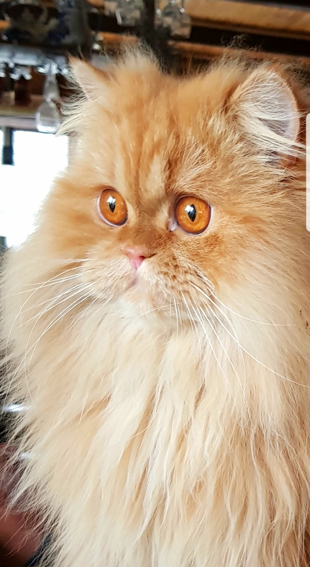 🖼