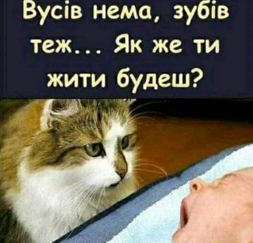 🖼