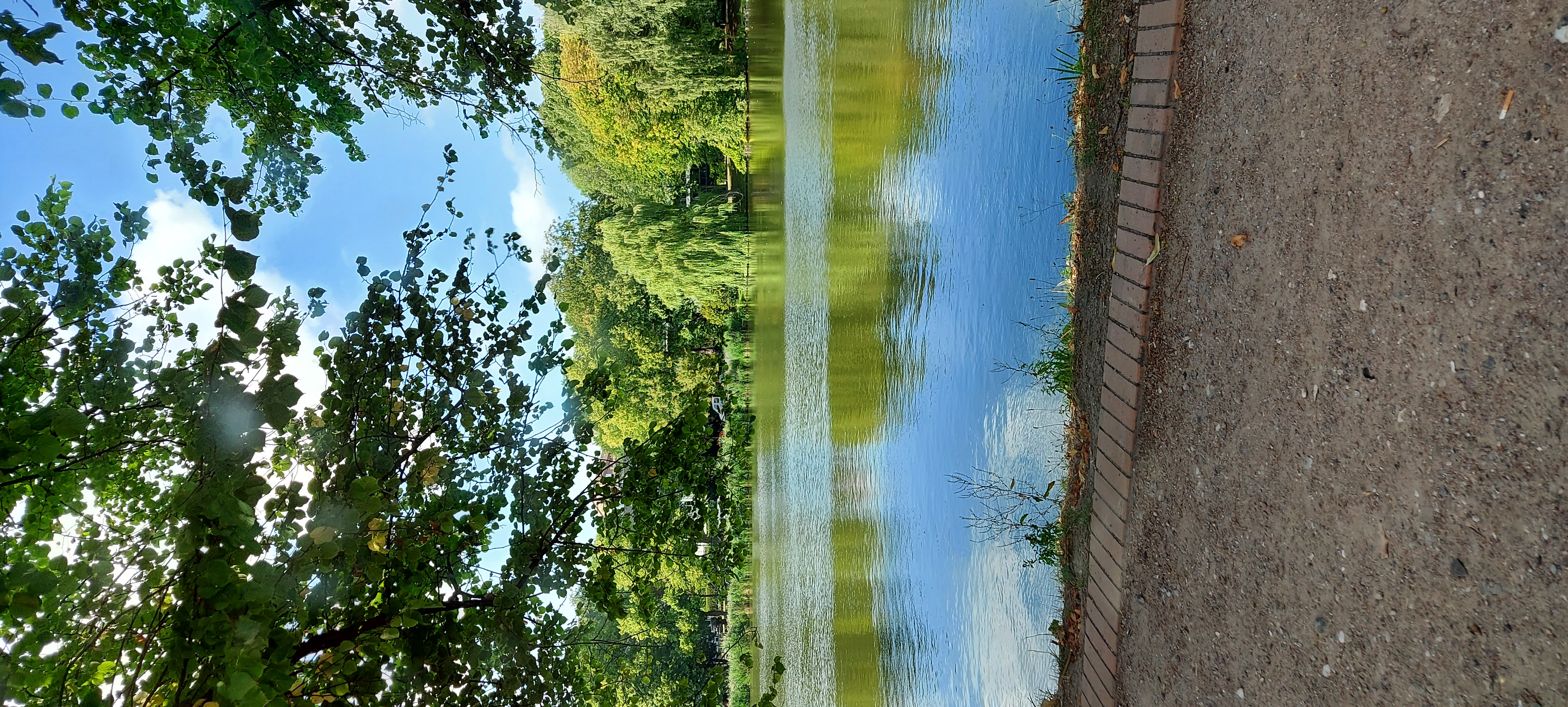 🖼