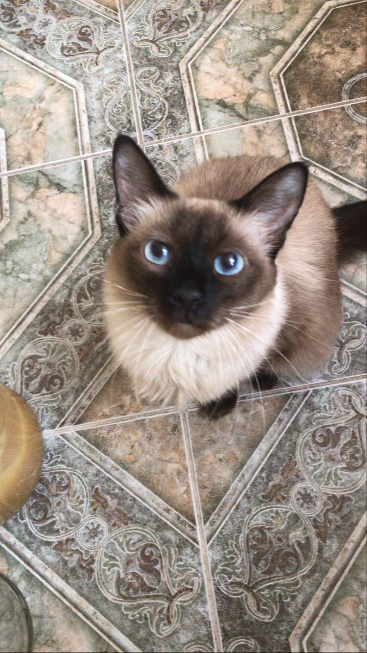 🖼