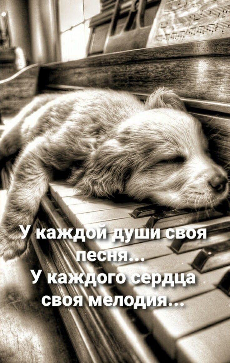 🖼