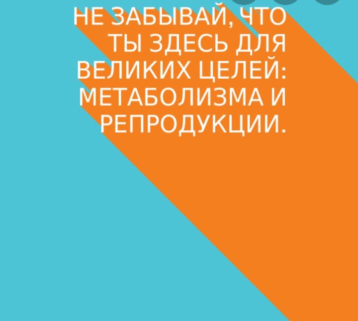 🖼