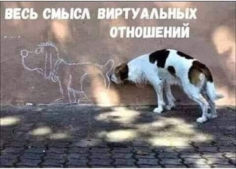 🖼
