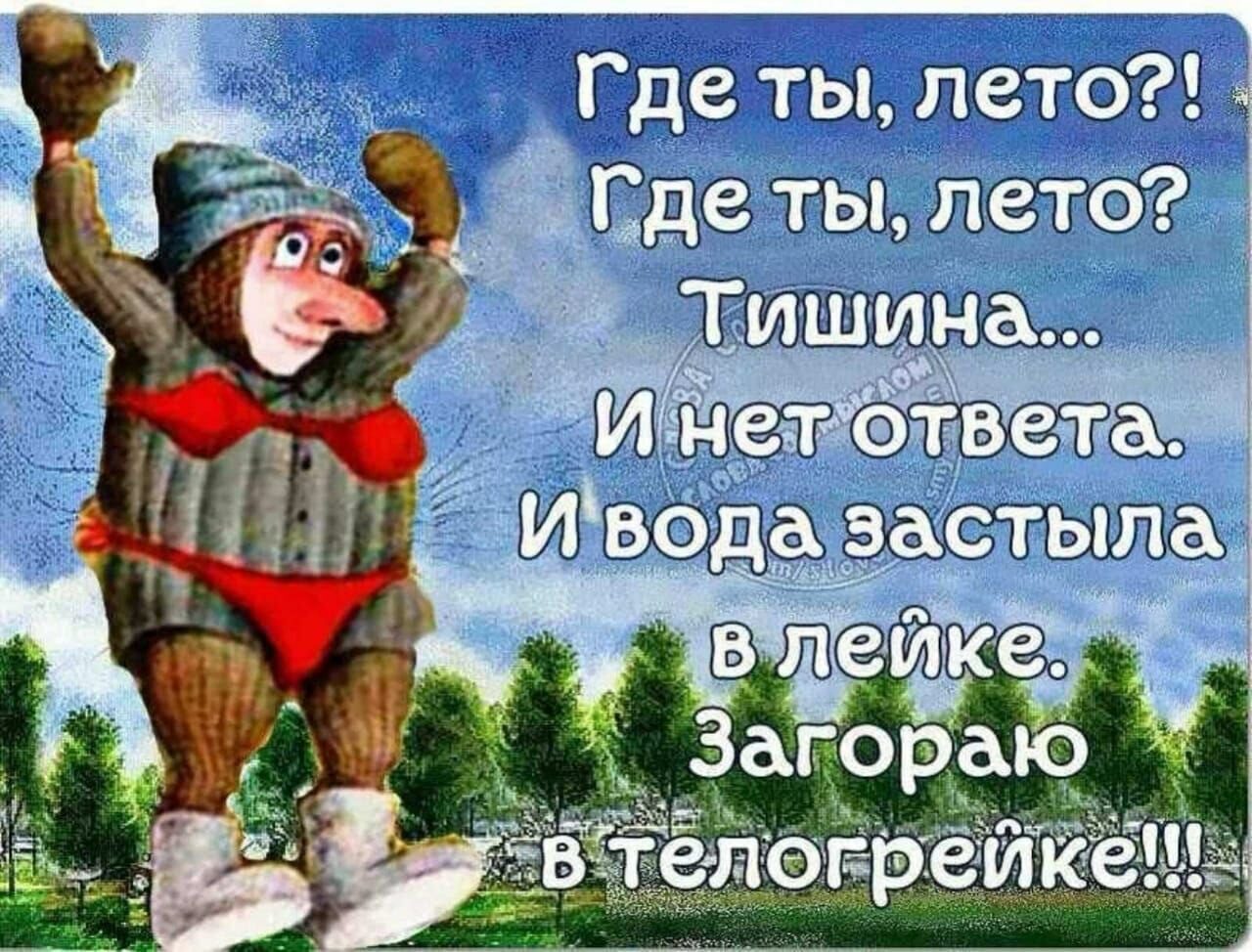 🖼
