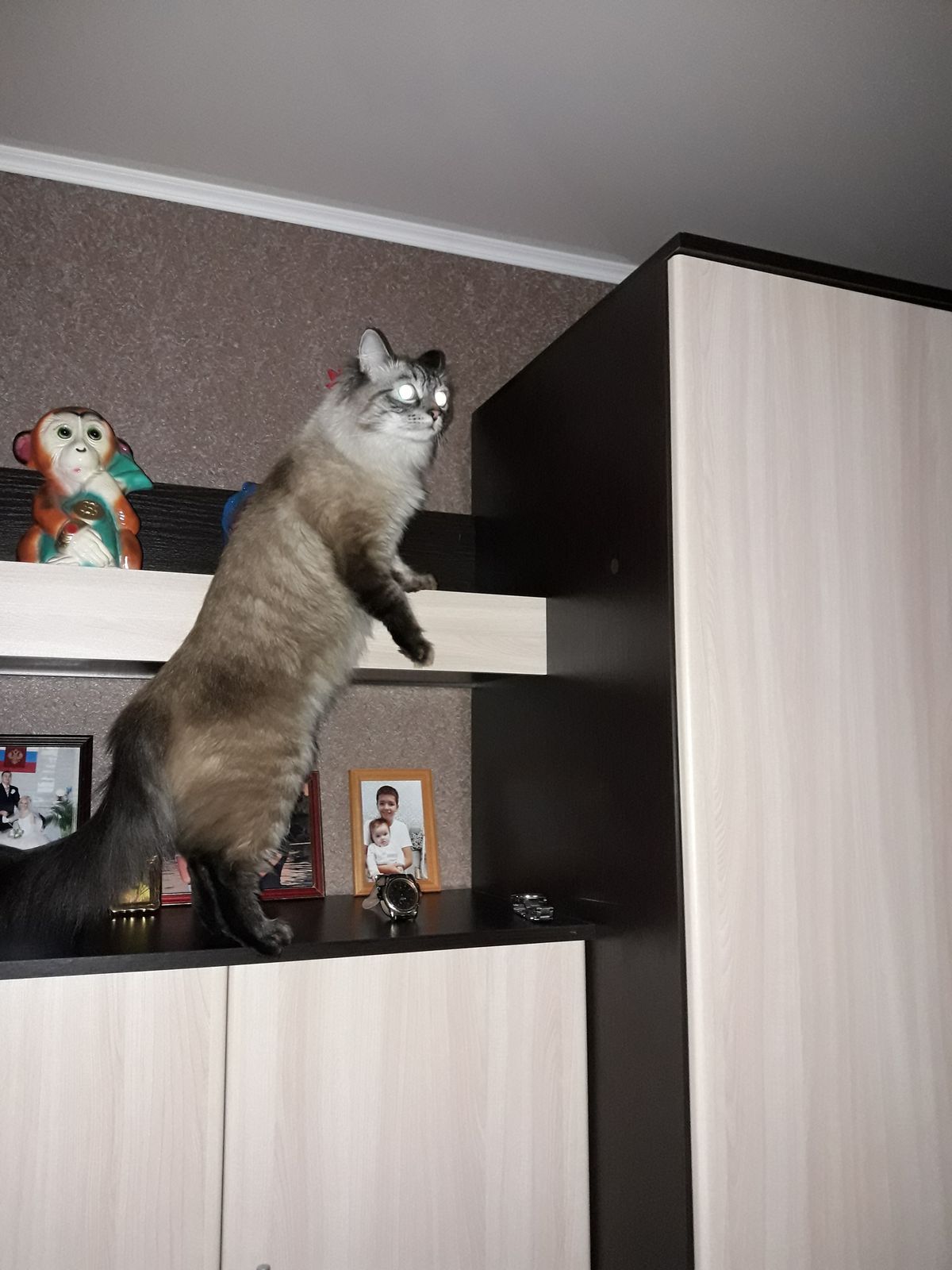 🖼