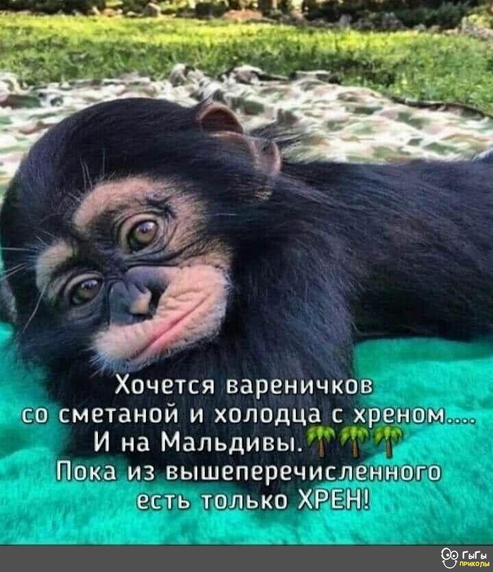 🖼