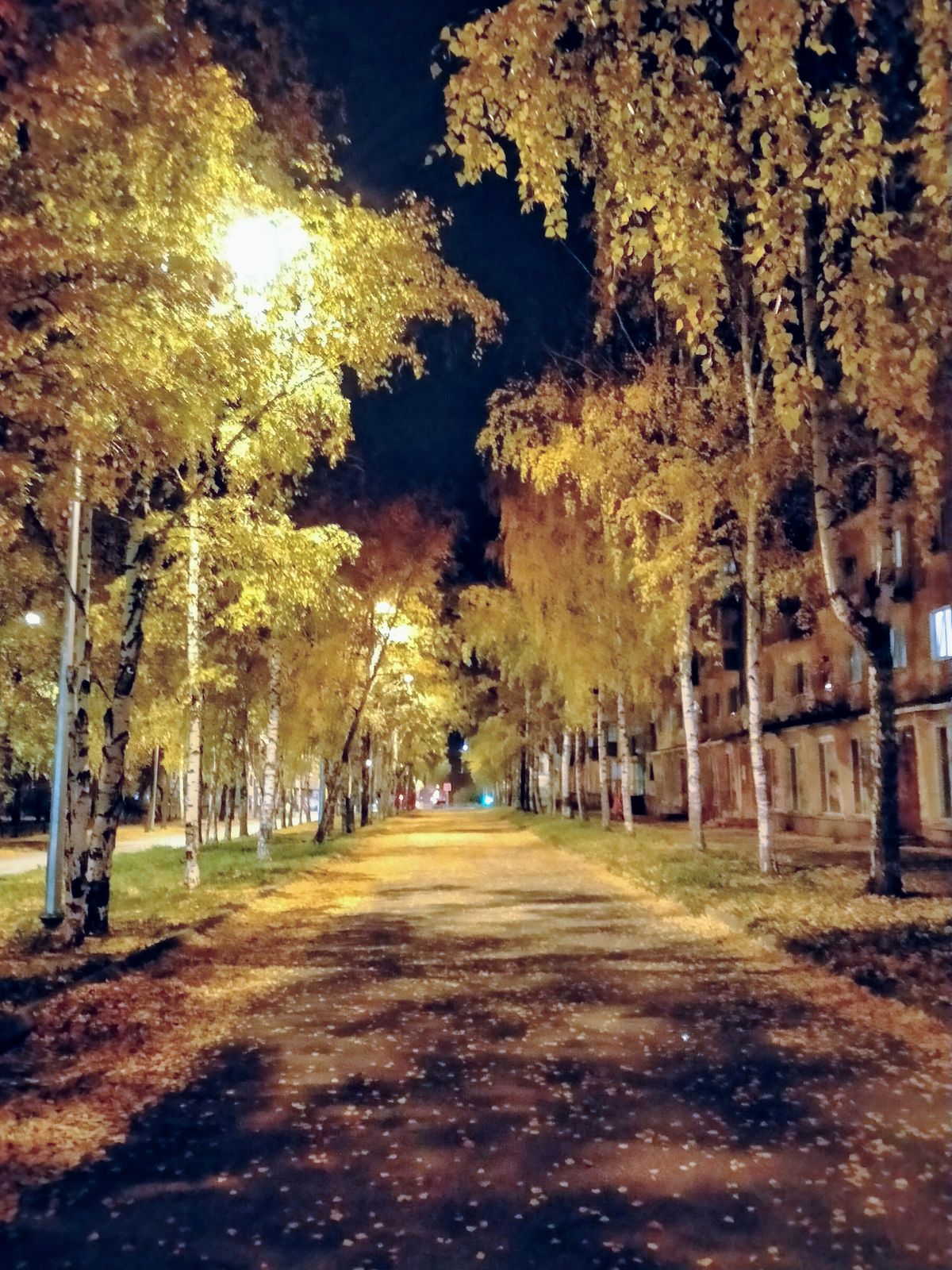 🖼