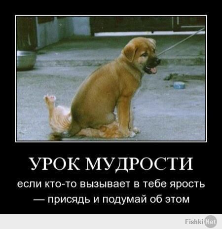 🖼