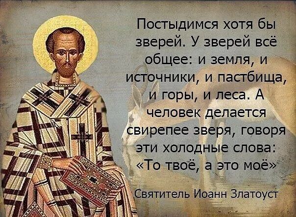 🖼