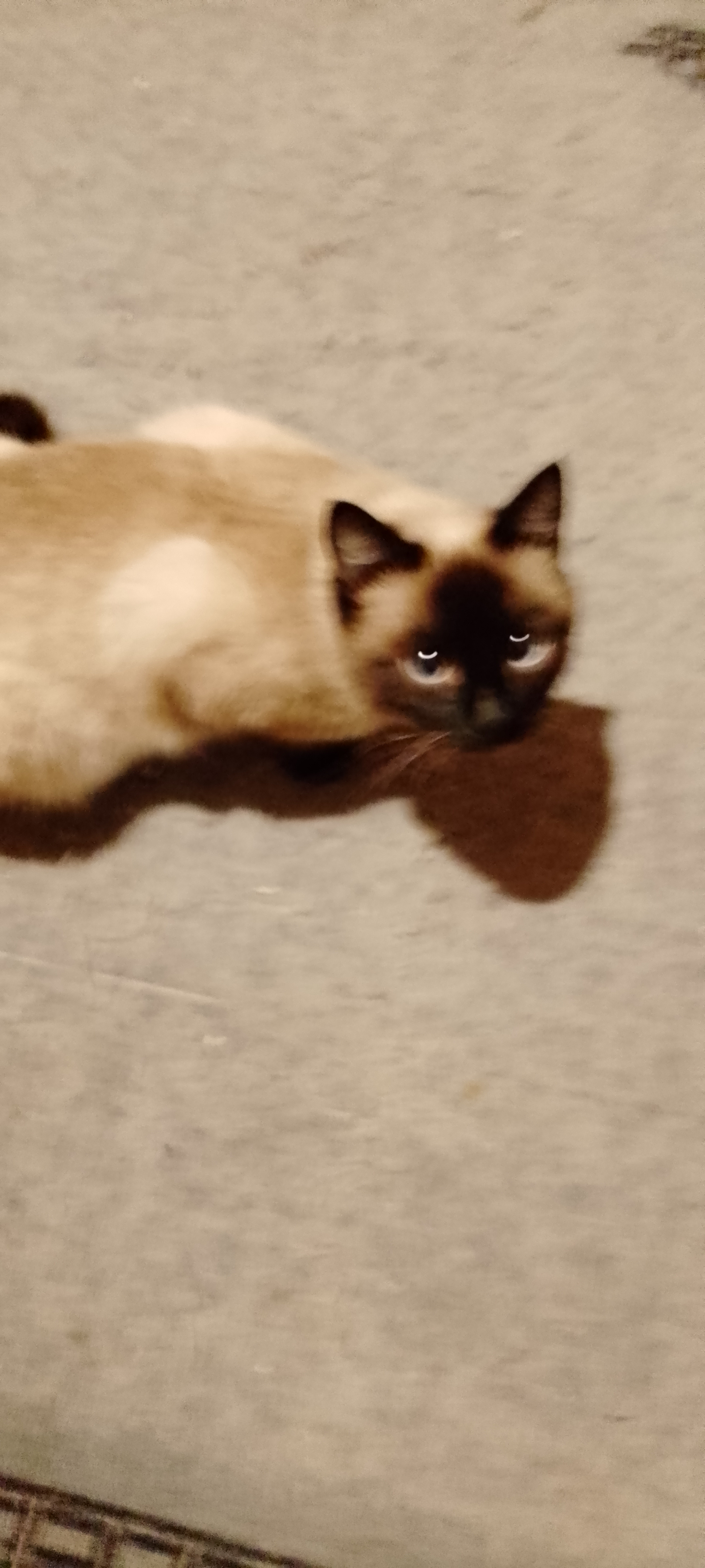 🖼