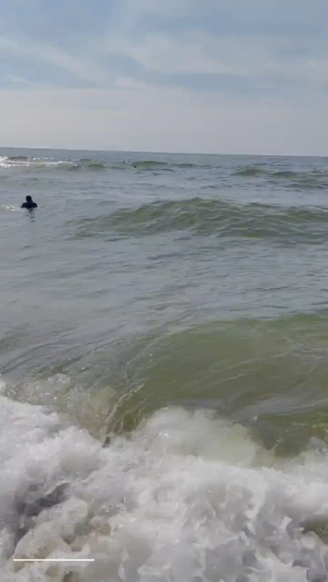 🖼