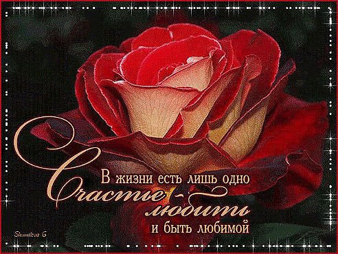 Ольга Мокроусова
