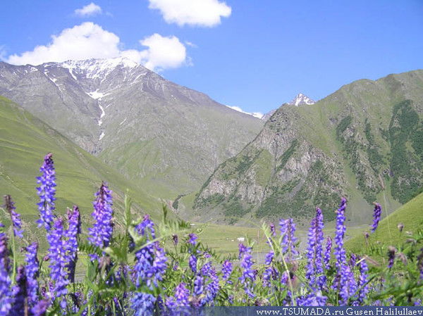 Рабаданов Х!