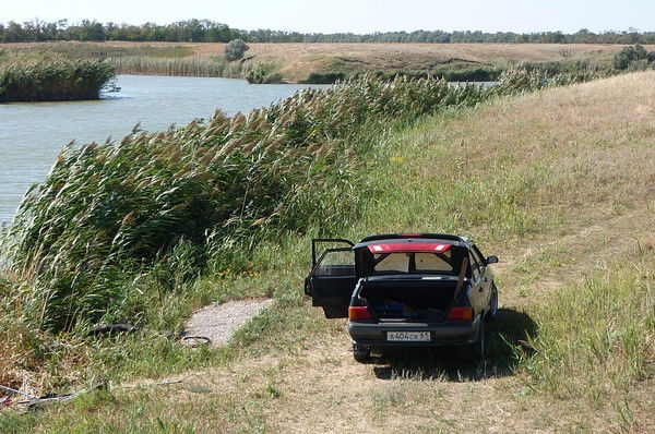 2998c Мужика нужно любить как кота