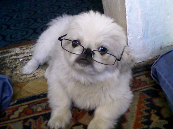 Стасия Алекс