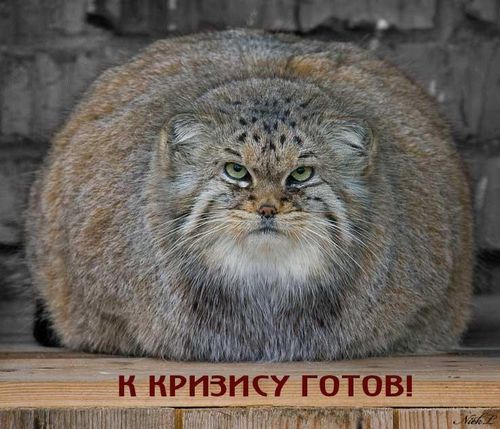 Vitaly Godar