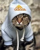 Дмитрий Золотой