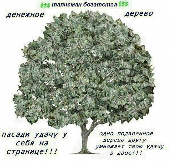 V.i.p.888 A
