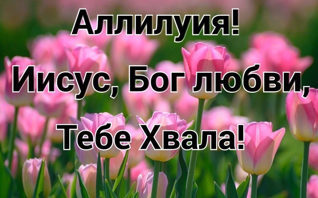 с каким животным вы себя ассоциируете и почему. Смотреть фото с каким животным вы себя ассоциируете и почему. Смотреть картинку с каким животным вы себя ассоциируете и почему. Картинка про с каким животным вы себя ассоциируете и почему. Фото с каким животным вы себя ассоциируете и почему