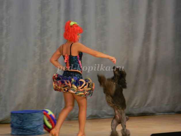 Kkkkkkkkkkkkkkkkkkk Fffffffffffffffffff