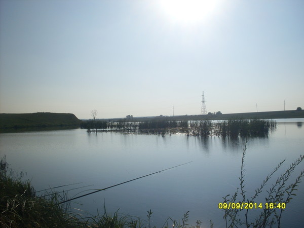 Флюра Фаткуллина