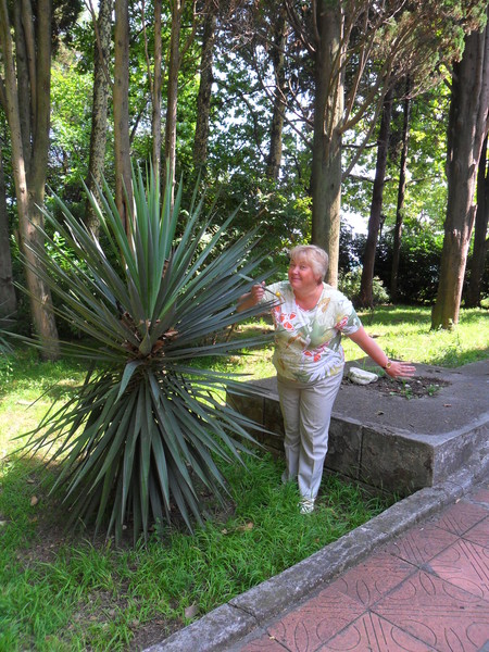 Елена Мосенкова
