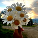 Хриська Григорьева