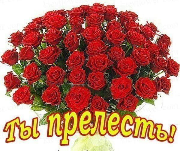 Nikolay T
