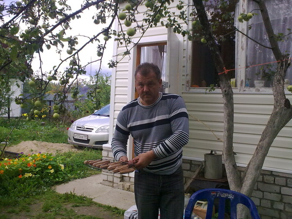 Бибсон Бибсон