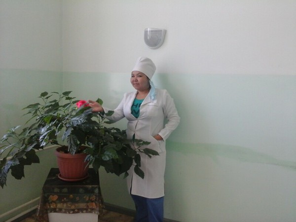 Альбина Жиенбаева