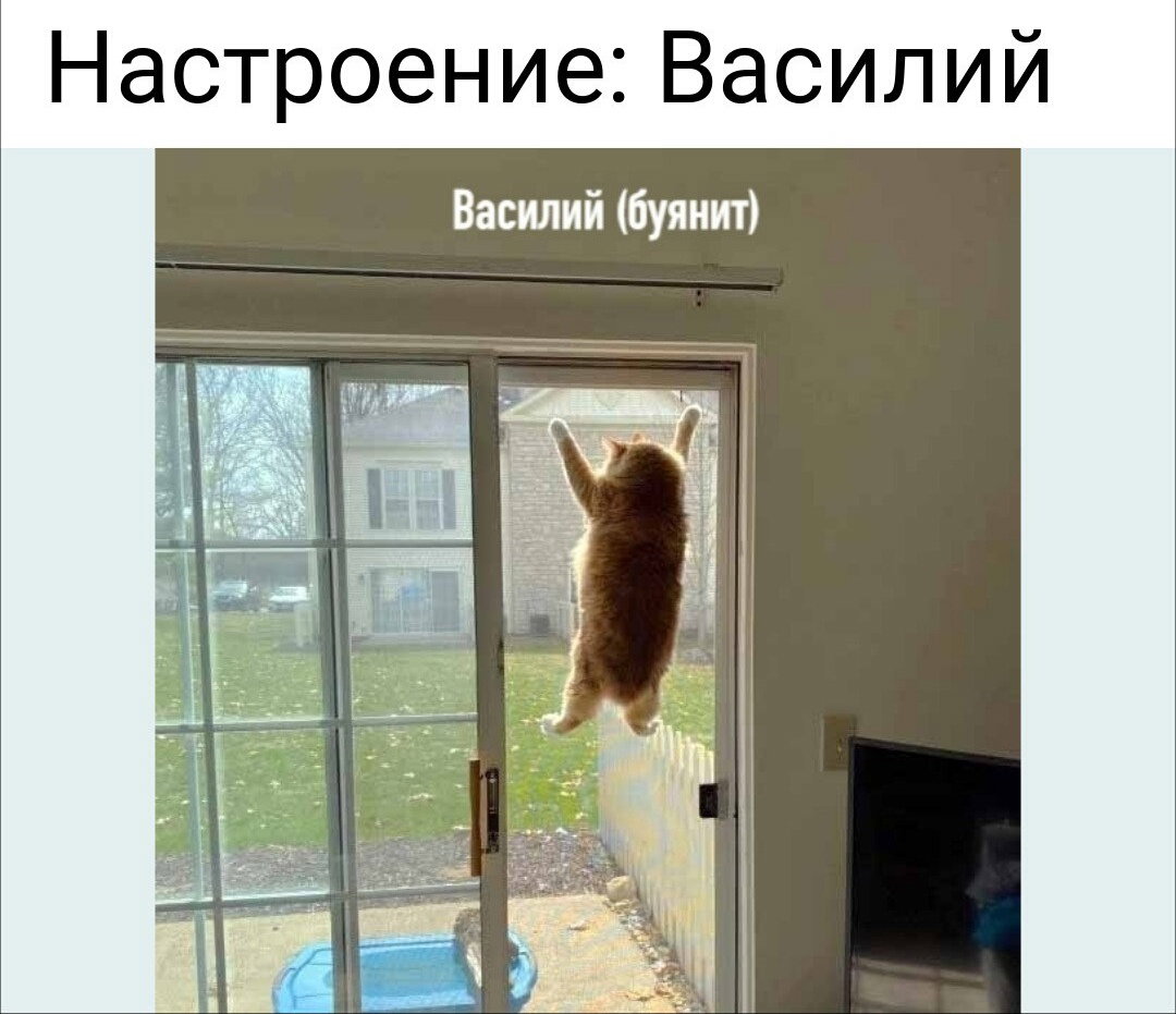 Алёна)