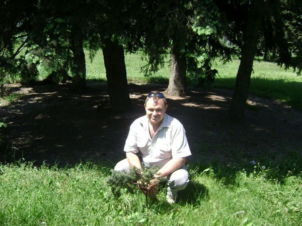 Владимир Владимир