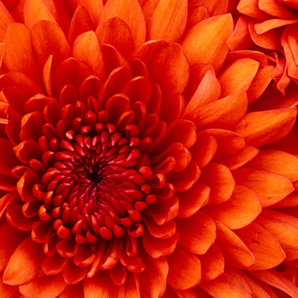 Баян Баимбетова