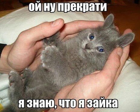 Энвер Ахматгалиев