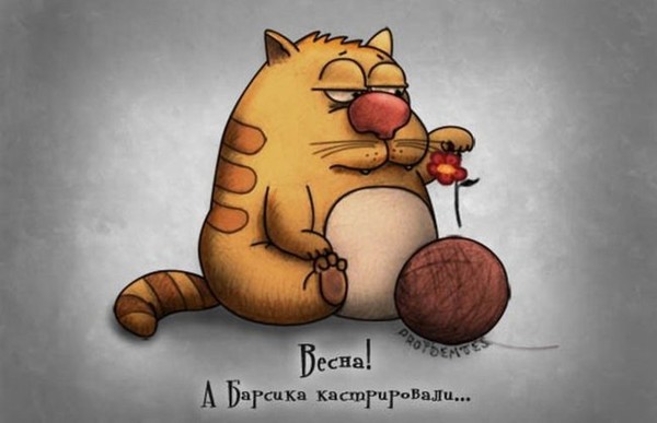Вова Шандр