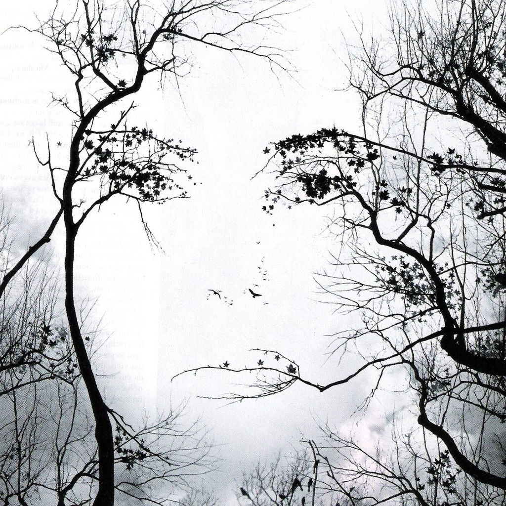 Ирина Николаева