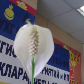 Азбука Налогов Школа Бизнеса