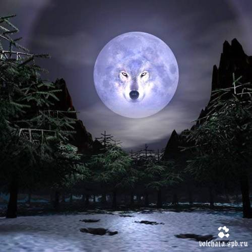 Светлана *****