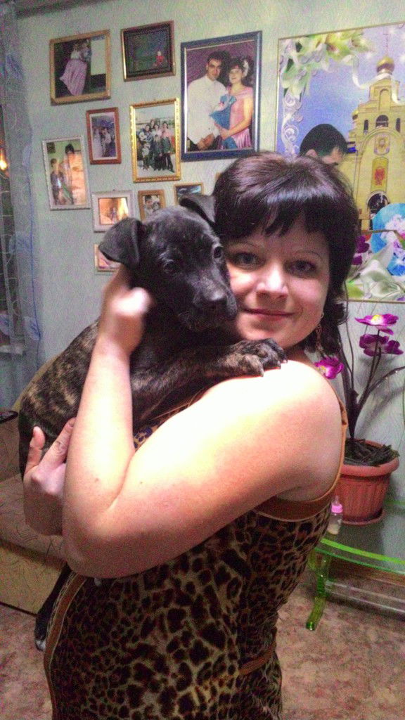 Юлия Даниелян