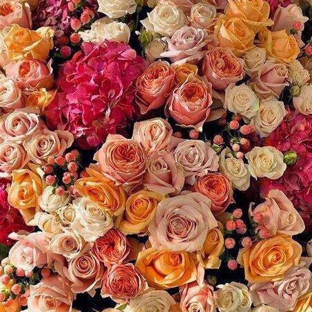 Светлана Рязанцева