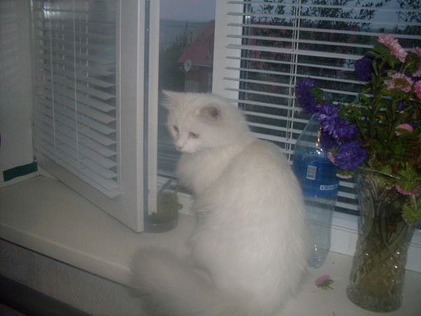 Алина Назыпова