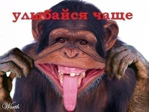 Сергей Скрыниченко