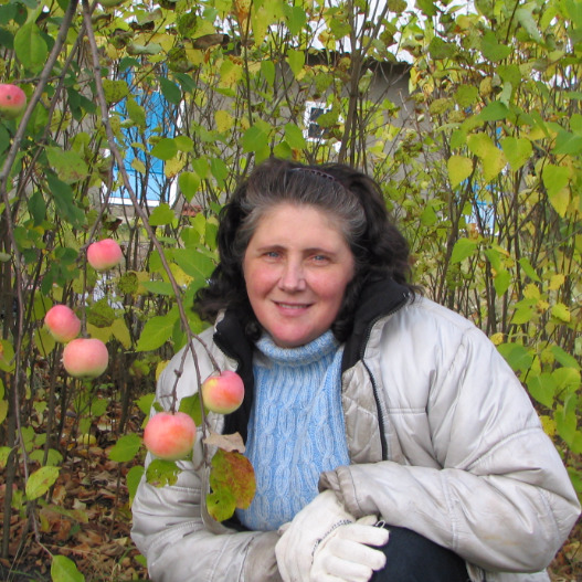 Елена