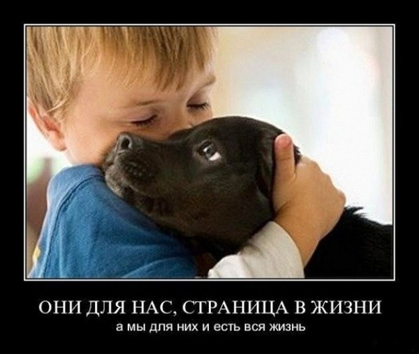 Натали Я Зф,клондайк