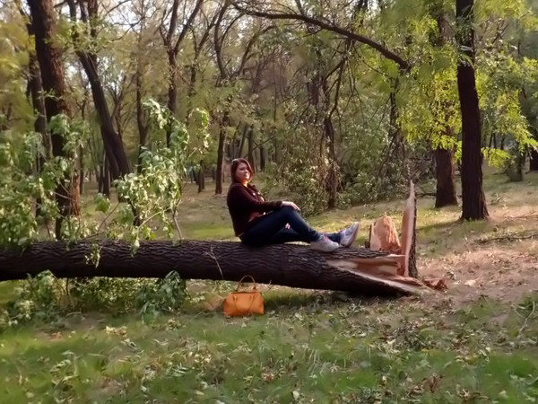 Инна Комарова