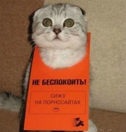 Sergei Zadera